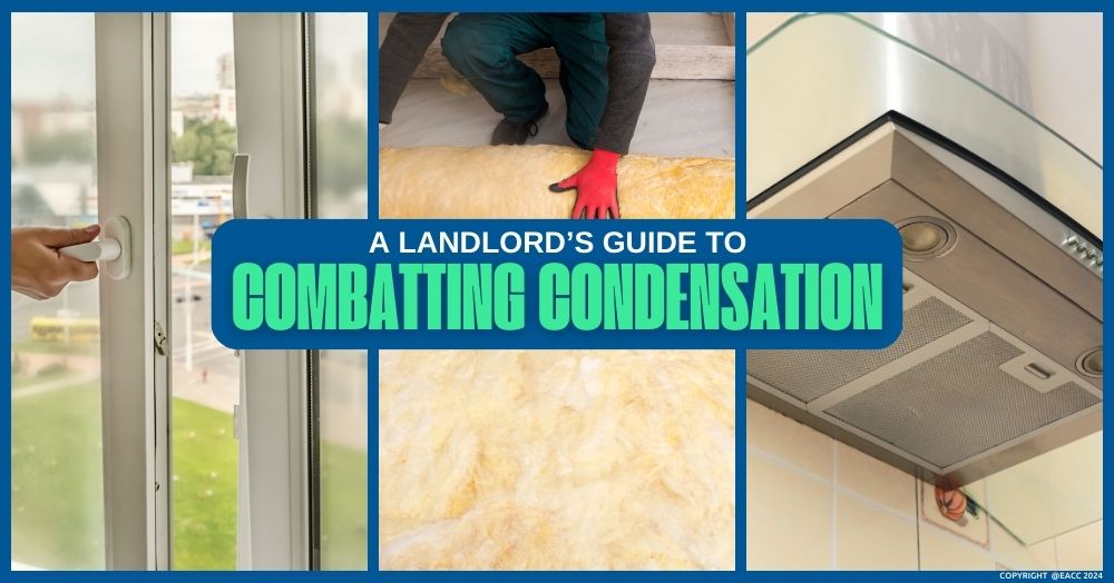 Six Steps to Combat Condensation – A Must-Read for Brighton and Hove Landlords