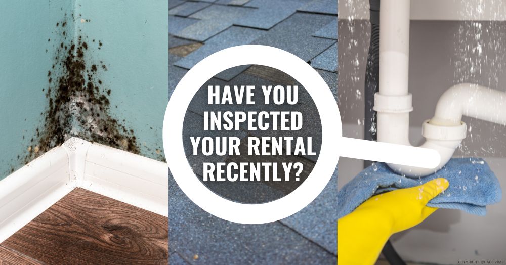 Why Brighton and Hove Tenants Might Appreciate Regular Inspections