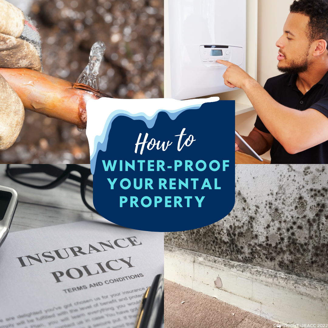 Ten Ways to Winter-Proof Your Brighton and Hove Rental Property