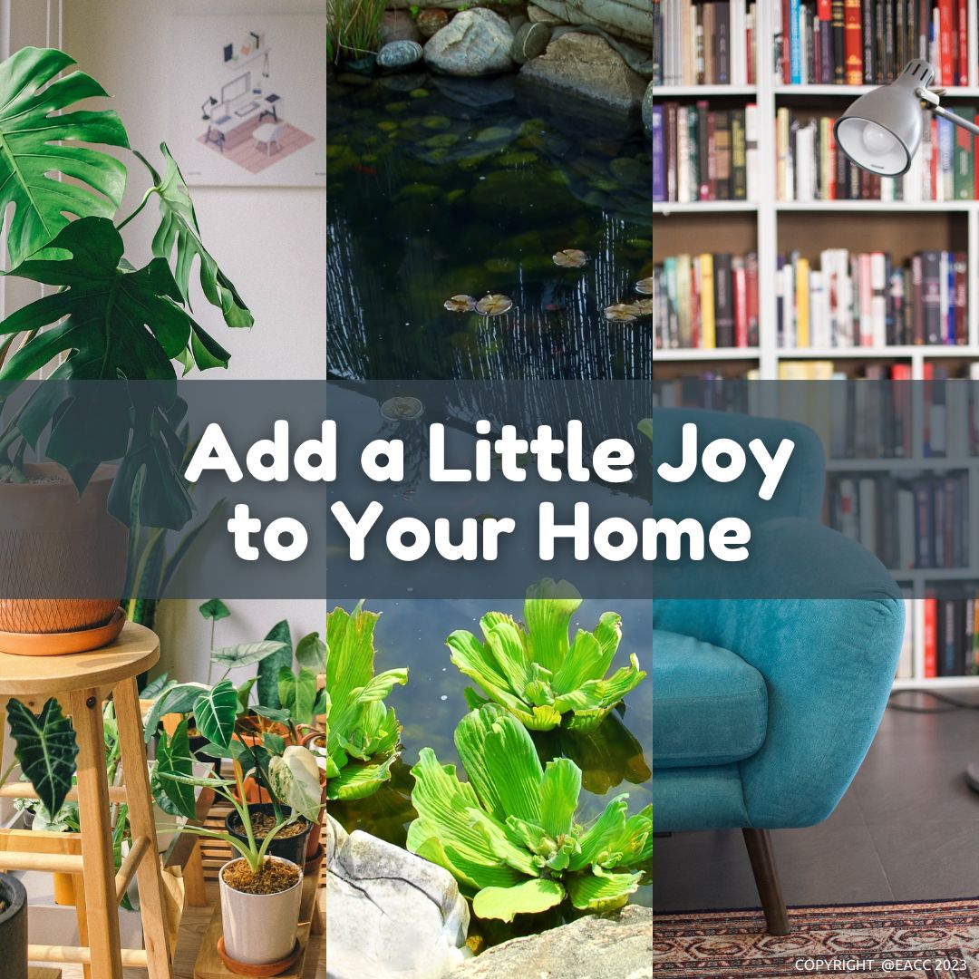 Find Joy in Your Brighton and Hove Home