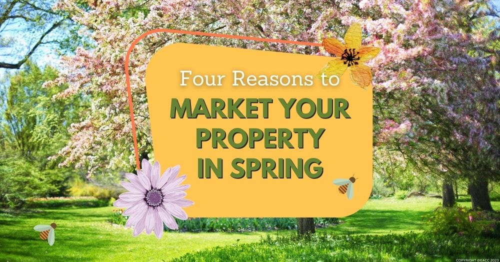 Four Reasons to Market Your Brighton and Hove Property in Spring