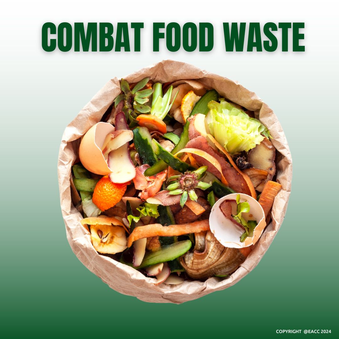Join Brighton and Hove's Fight against Food Waste