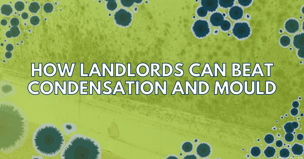 What Brighton and Hove Landlords Need to Know about Condensation and Mould