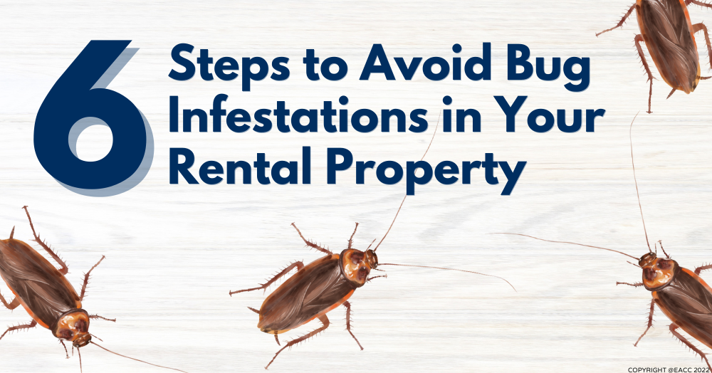 How to Banish Bugs from Your Brighton and Hove Rental Property