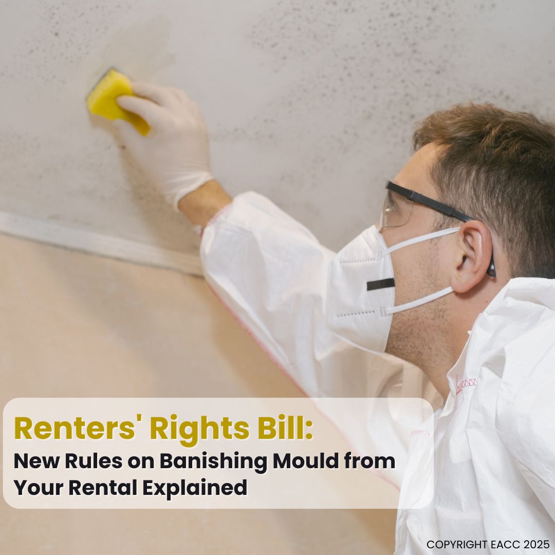 Renters' Rights Bill: New Rules on Banishing Mould from Your Brighton and Hove Rental Explained