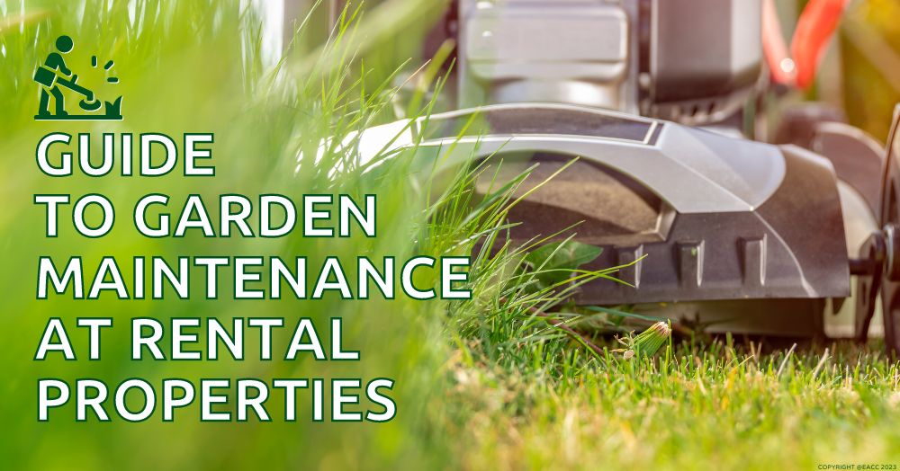 Guide to Garden Maintenance for Brighton and Hove Landlords and Tenants