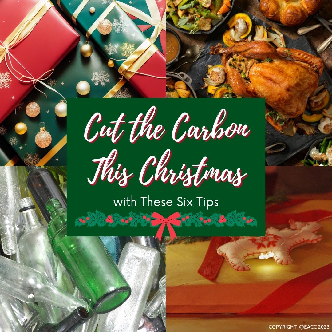 How to Have a Cleaner, Greener Christmas Celebration at Your Brighton and Hove Home