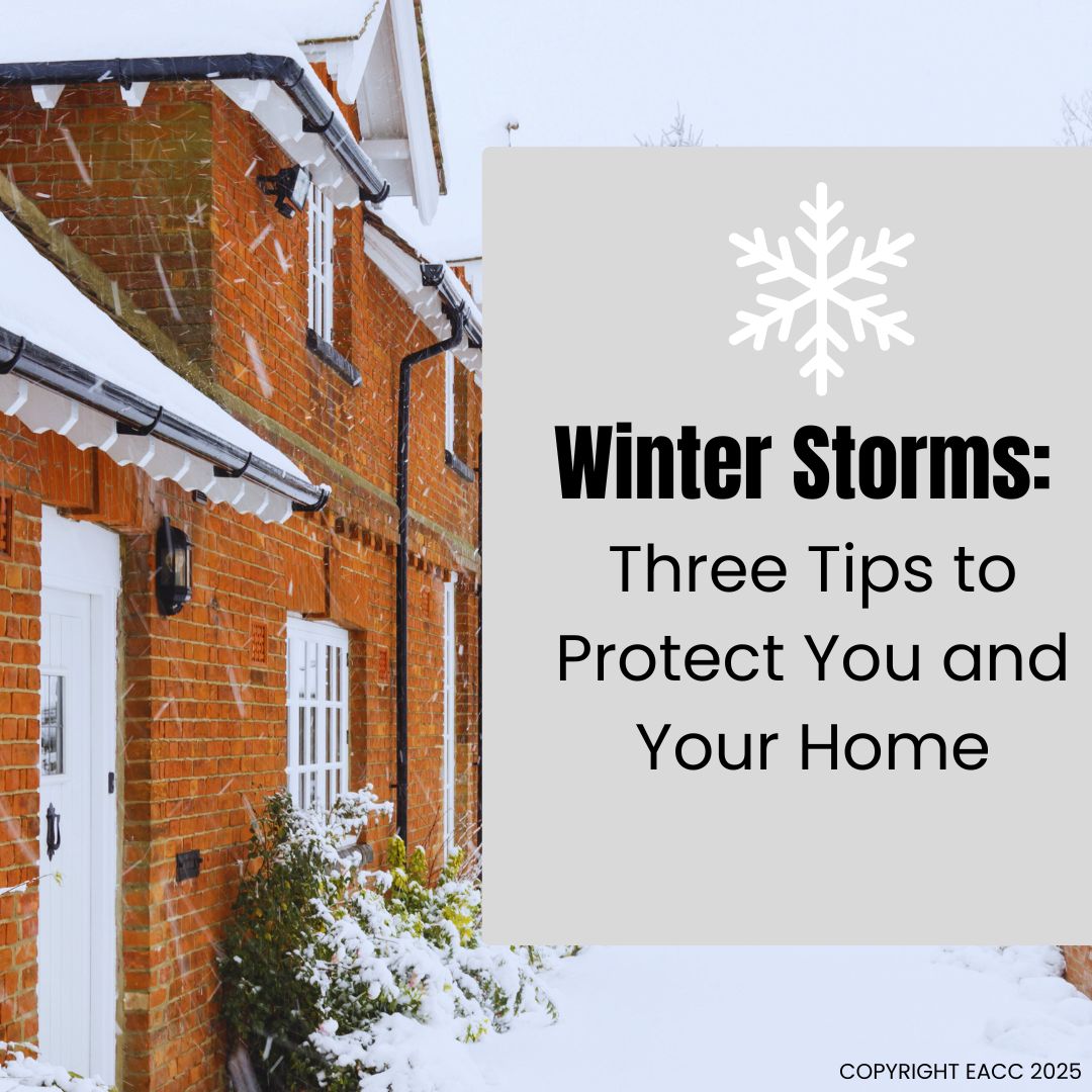 How to Prepare for Winter Storms: Tips for Brighton and Hove Householders