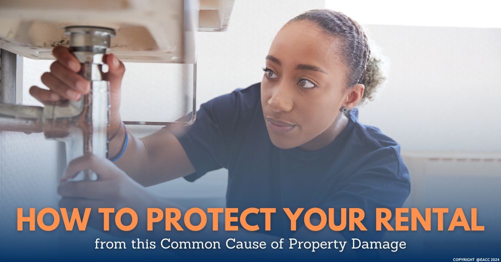 Ten Ways to Protect Your Brighton and Hove Rental from This Common Cause of Property Damage
