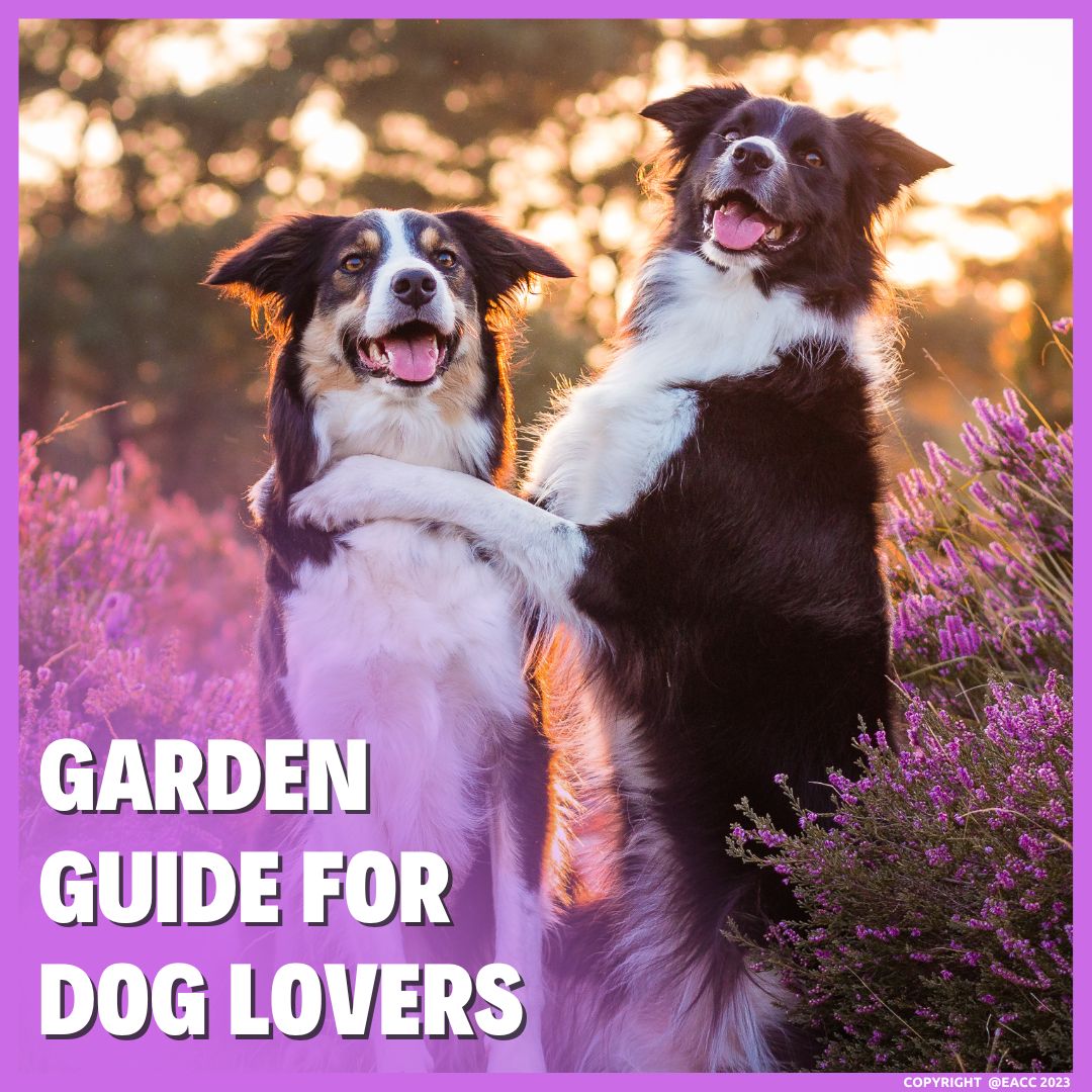 Garden Guide for Brighton and Hove Dog Lovers